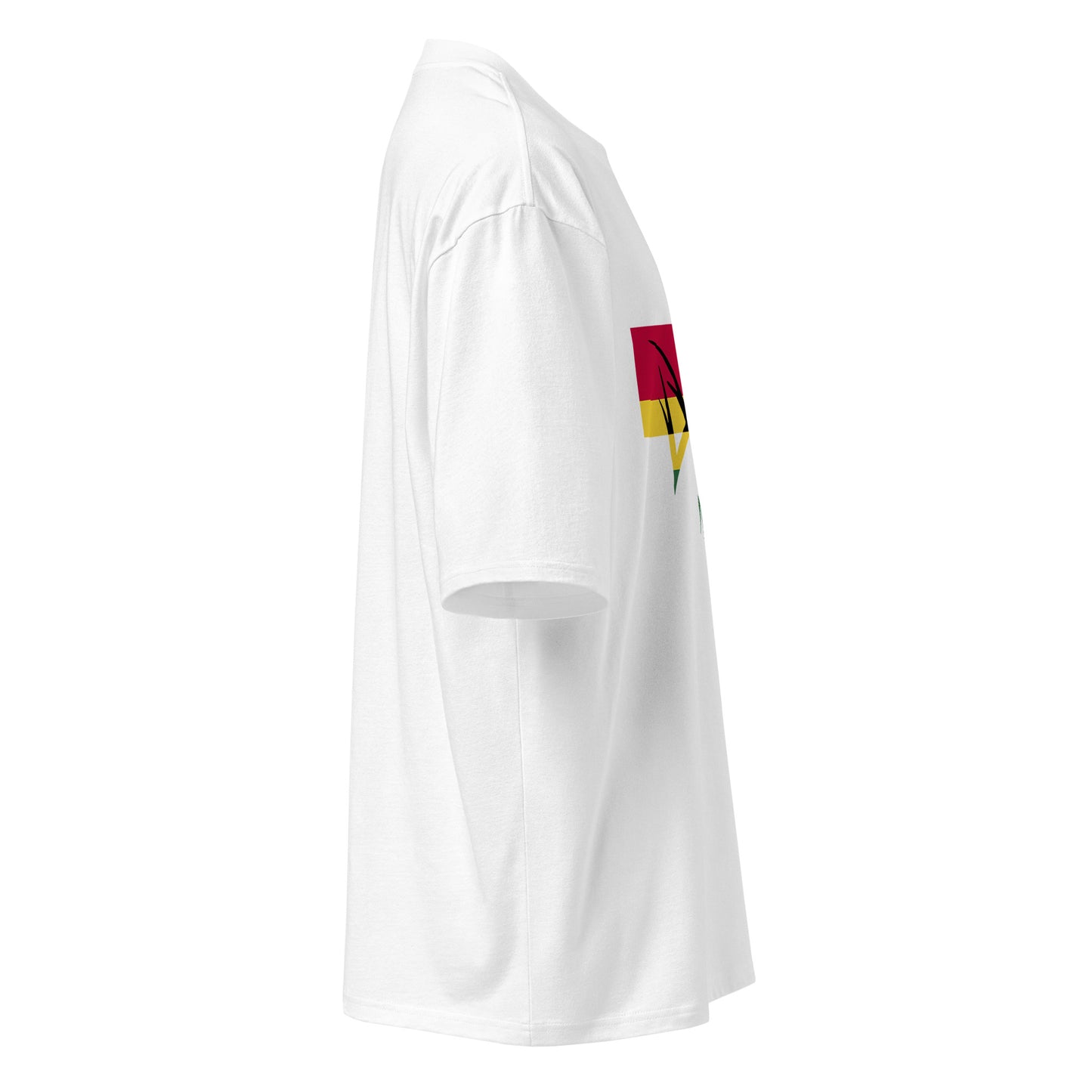 DSOR Unisex Oversized heavyweight t-shirt