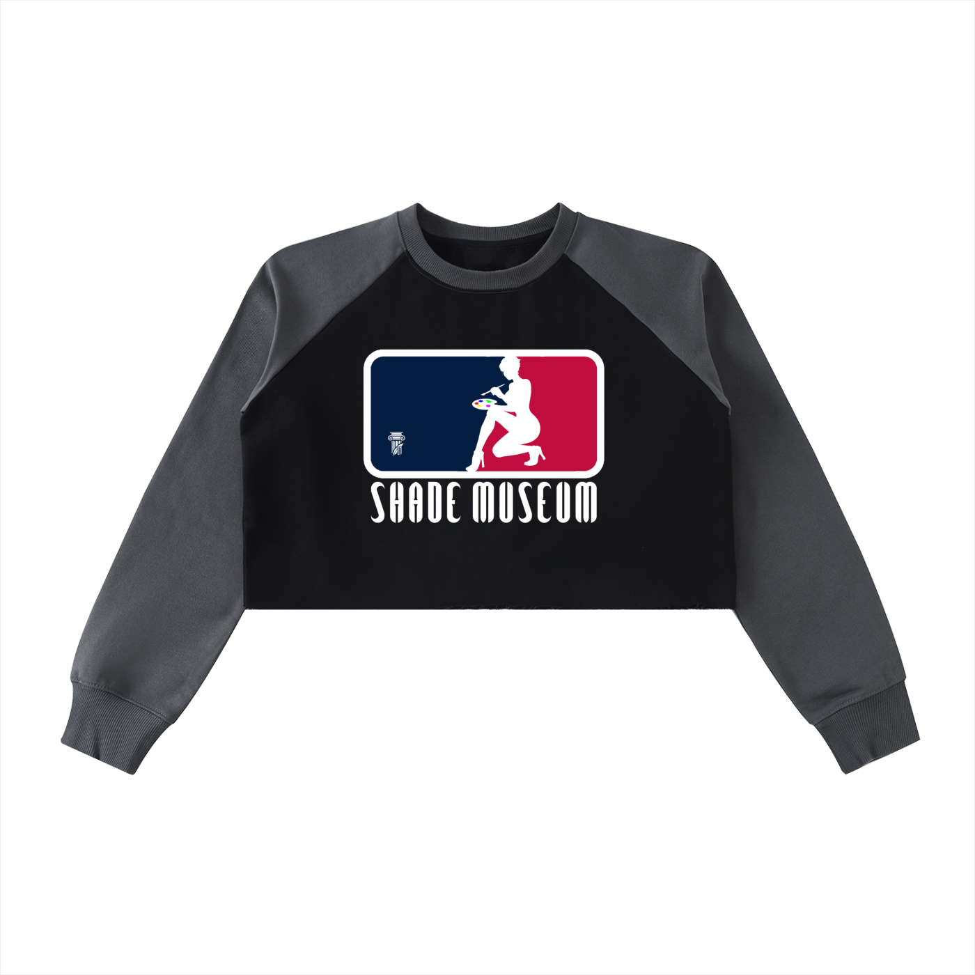 Shades Raw-Hem Color-Block Raglan Crop Sweatshirt