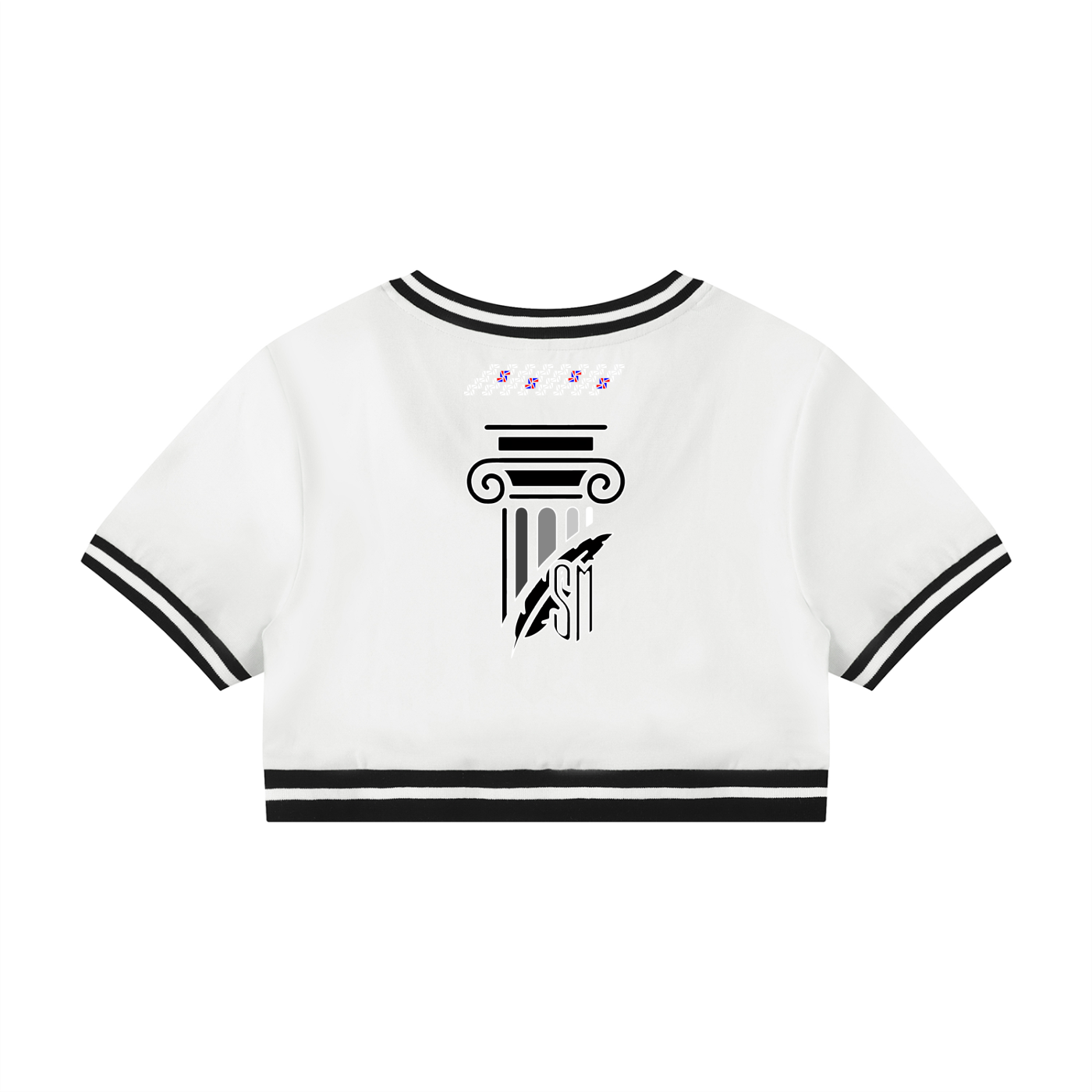 Women's Color Block V-Neck Crop T-Shirt